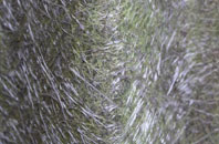 Coningsby fibreglass roof work